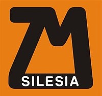 Znalezione obrazy dla zapytania silesia rynny logo